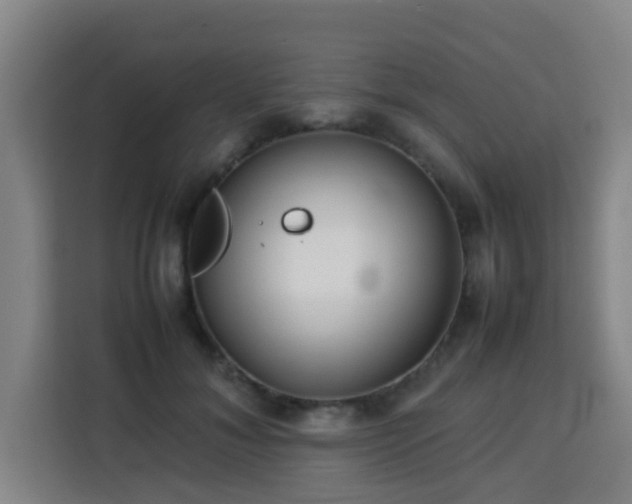 X0000113760700200909301109