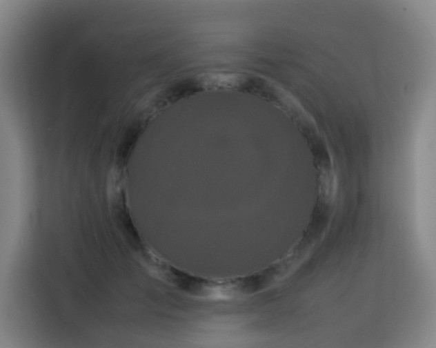 X0000113760701200909301109