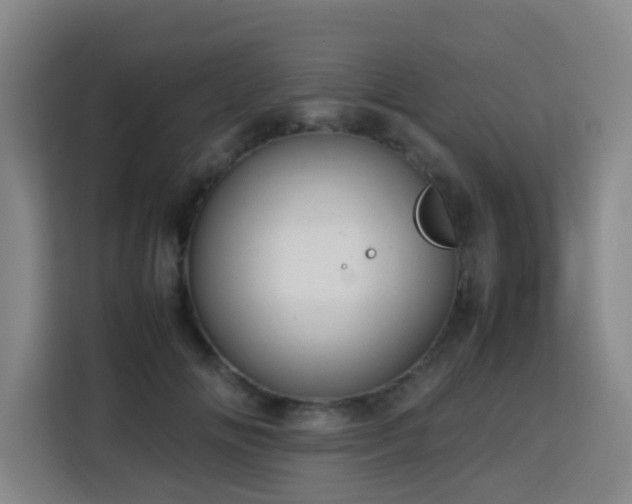 X0000113760702200909301109