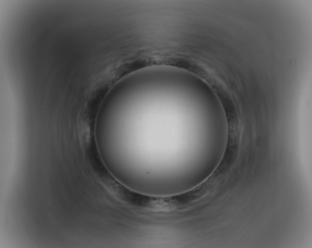 X0000113760703200909301109