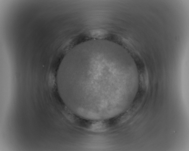 X0000113760705200909301109