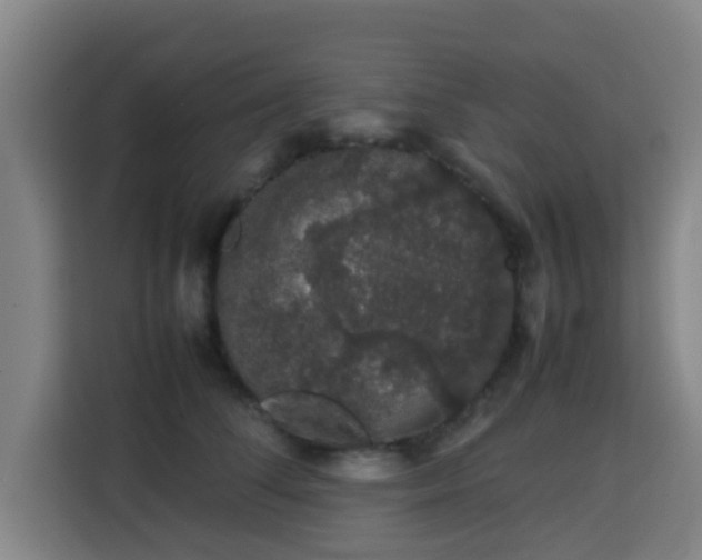 X0000113760708200909301109