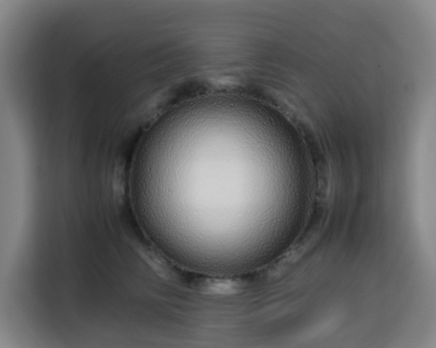 X0000113760710200909301109