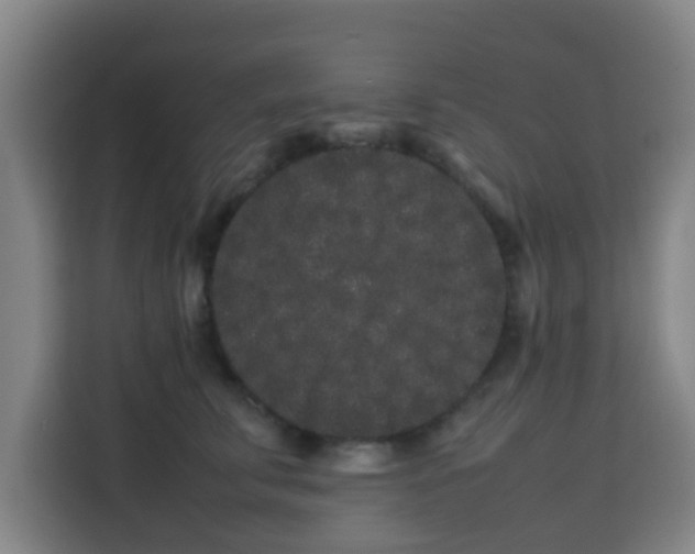 X0000113760711200909301109