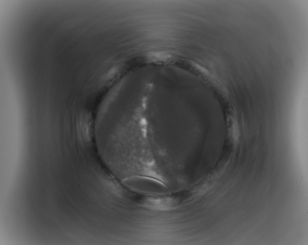 X0000113760712200909301109
