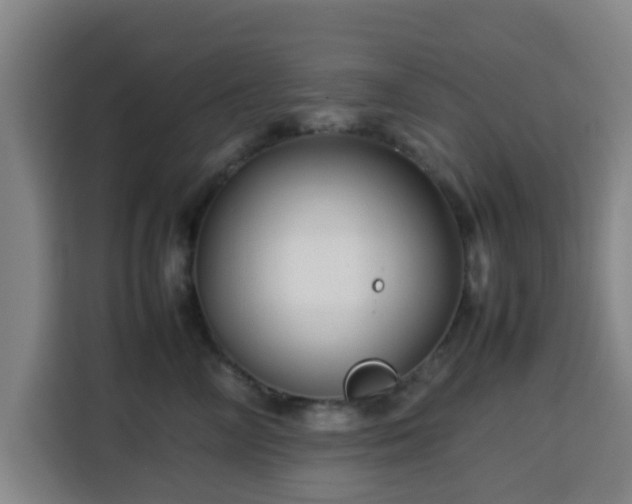 X0000113760714200909301109
