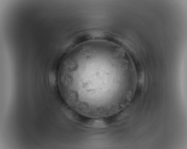 X0000113760715200909301109