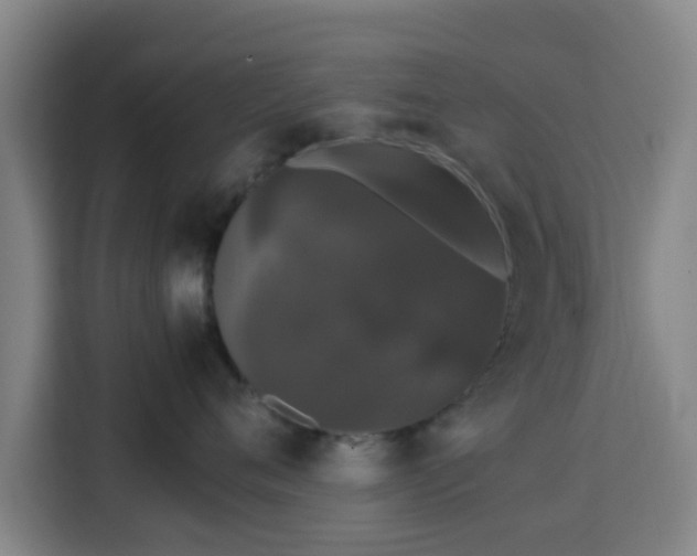 X0000113760720200909301109