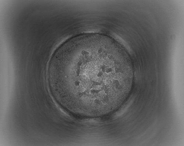 X0000113760721200909301109