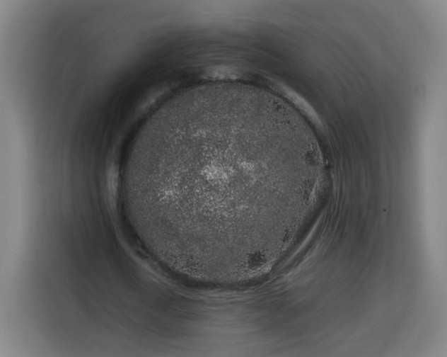 X0000113760722200909301109
