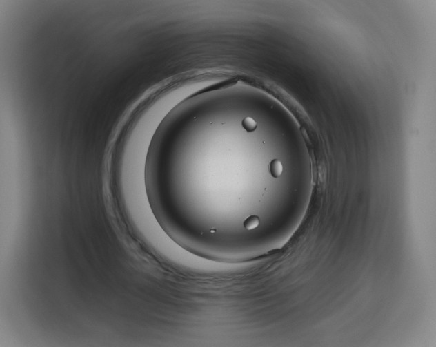 X0000113760724200909301109