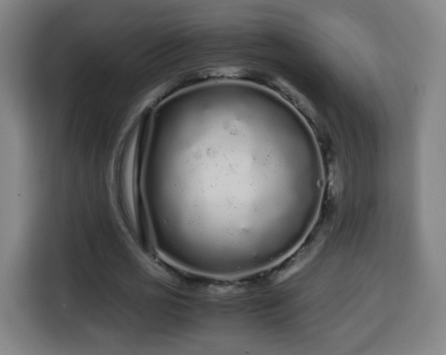 X0000113760725200909301109