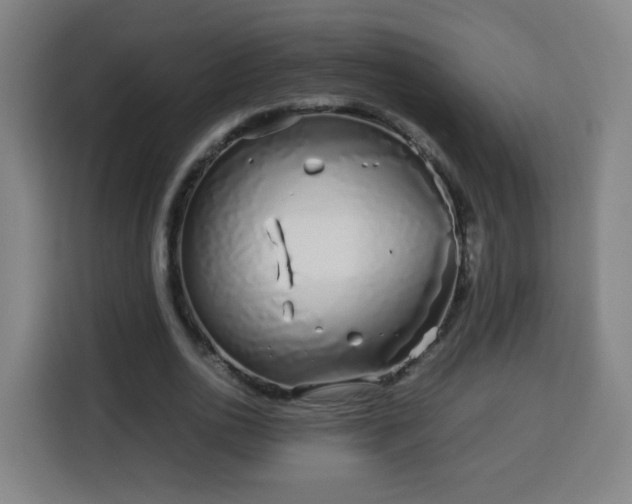 X0000113760726200909301109