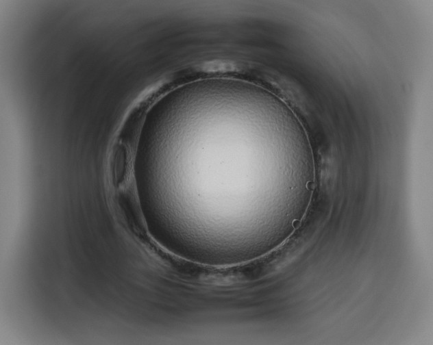X0000113760727200909301109
