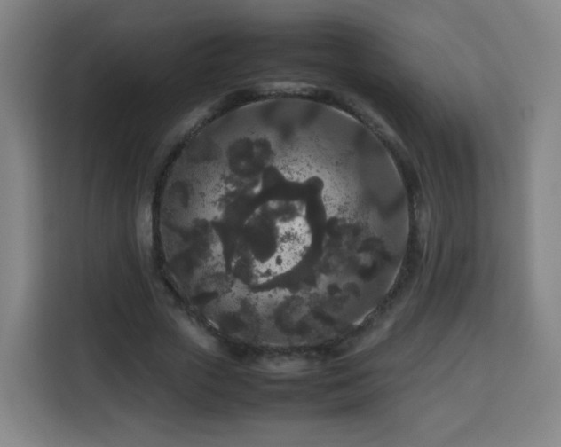 X0000113760729200909301109