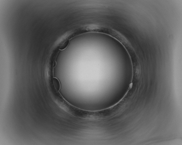 X0000113760732200909301109