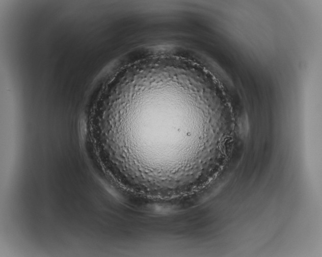 X0000113760733200909301109