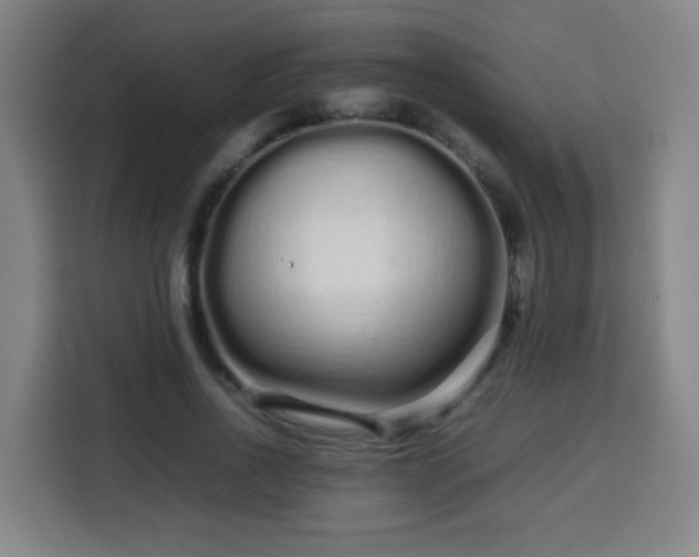 X0000113760734200909301109