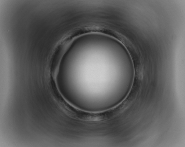X0000113760735200909301109