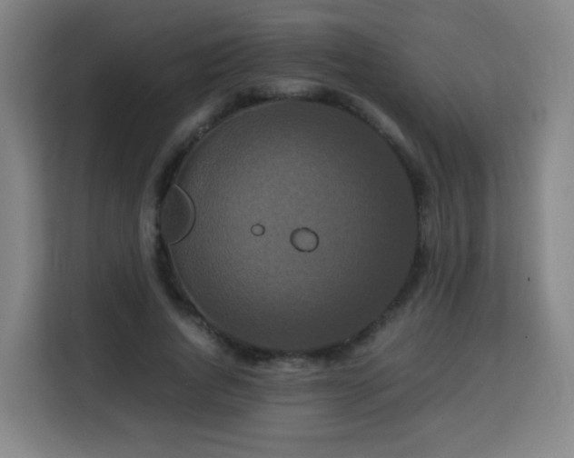 X0000113760736200909301109