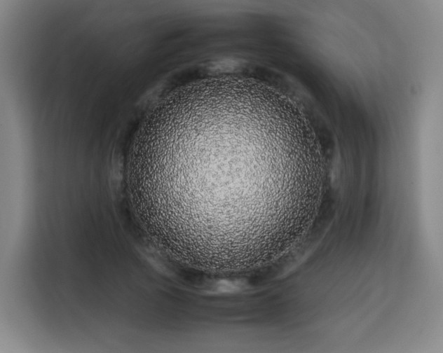 X0000113760737200909301109