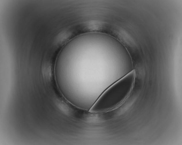 X0000113760740200909301109