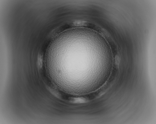 X0000113760741200909301109