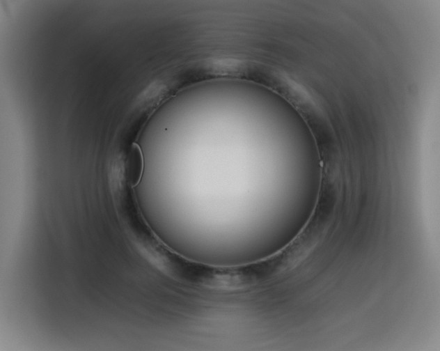 X0000113760744200909301109