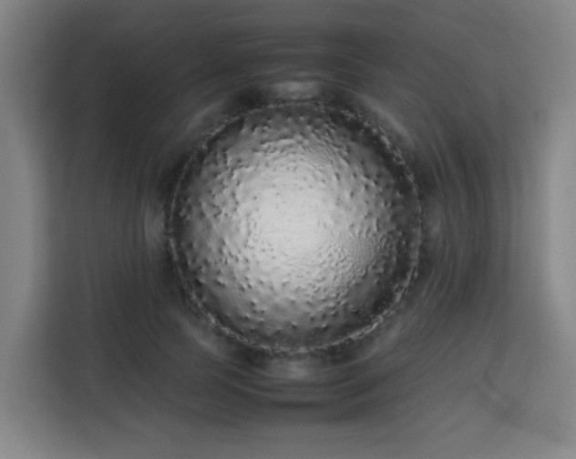 X0000113760745200909301109