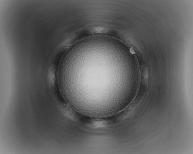 X0000113760746200909301109