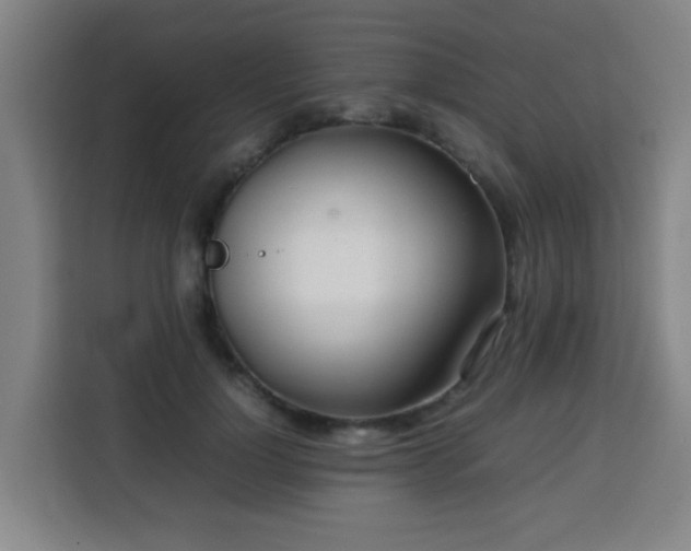 X0000113760748200909301109