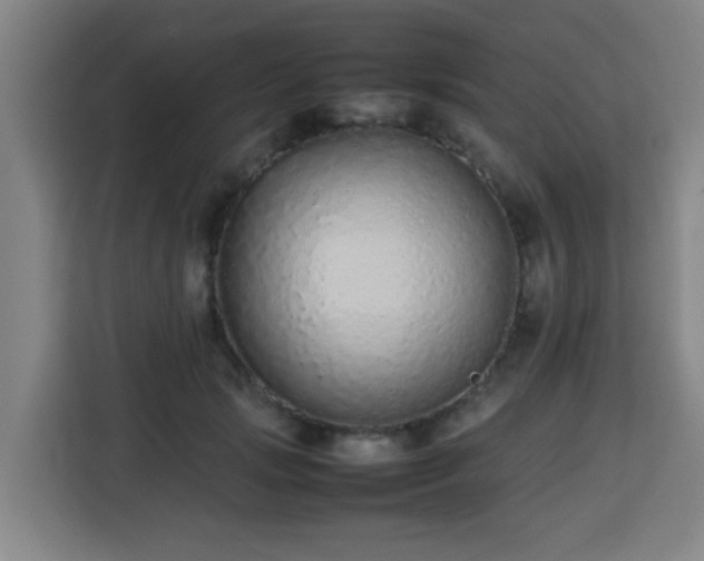 X0000113760749200909301109
