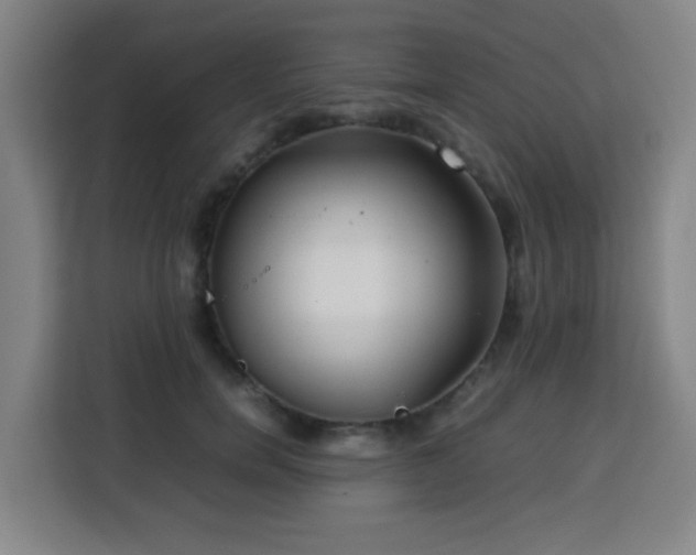 X0000113760750200909301109