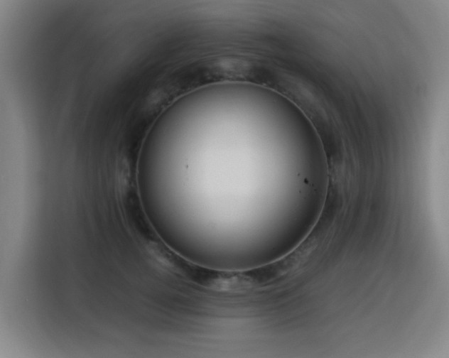 X0000113760752200909301109