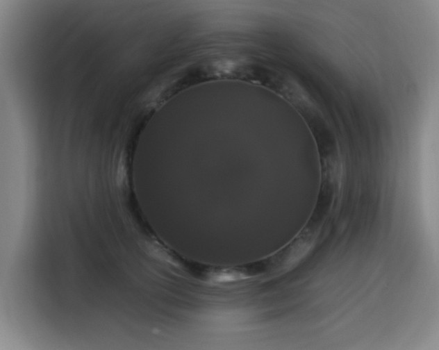X0000113760754200909301109