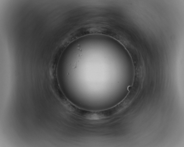 X0000113760755200909301109
