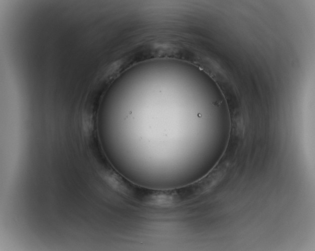 X0000113760756200909301109