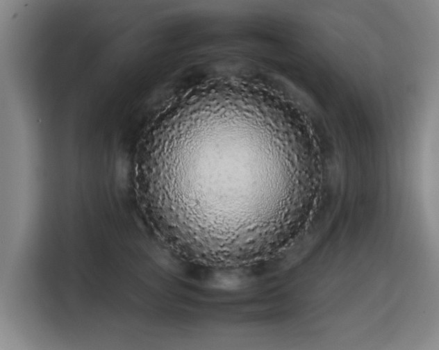 X0000113760757200909301109