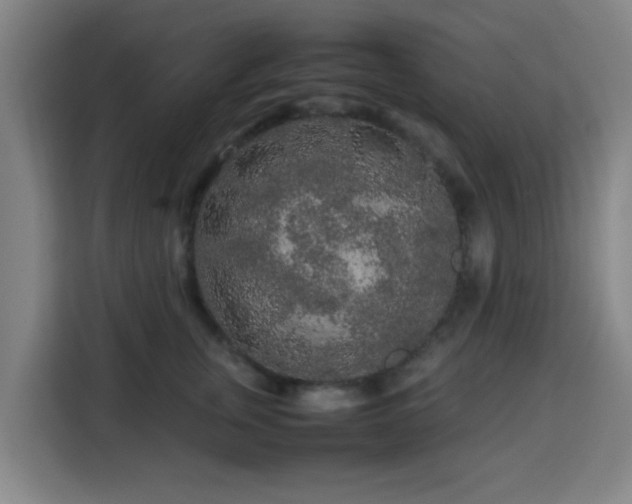X0000113760759200909301109