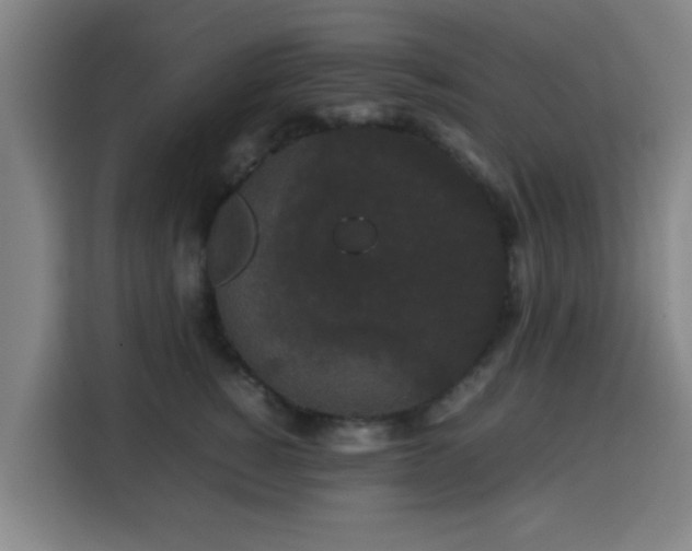 X0000113760760200909301109