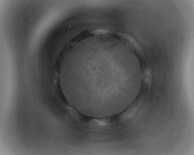 X0000113760763200909301109