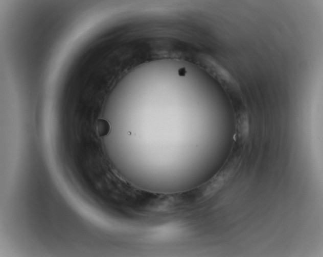 X0000113760764200909301109