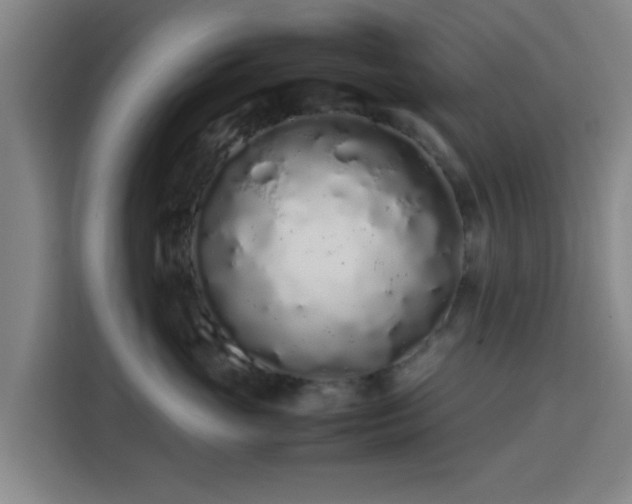 X0000113760765200909301109
