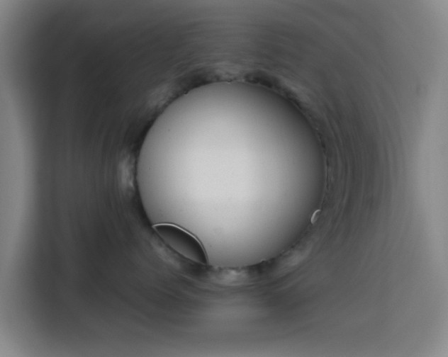X0000113760768200909301109