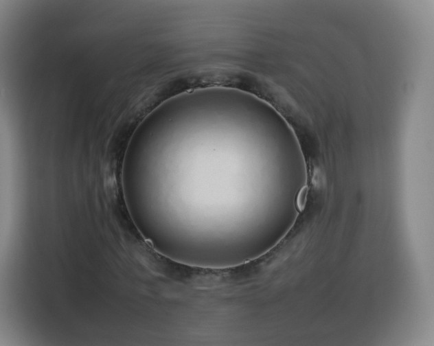 X0000113760771200909301109