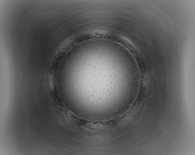 X0000113760774200909301108