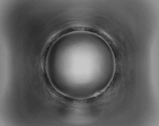 X0000113760775200909301108