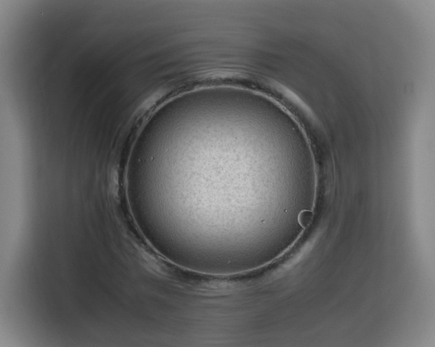 X0000113760777200909301108