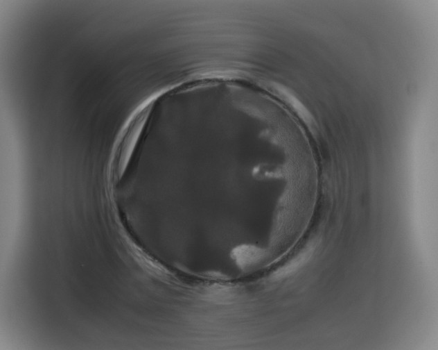 X0000113760779200909301108