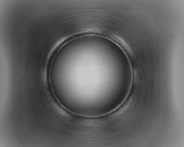 X0000113760780200909301108